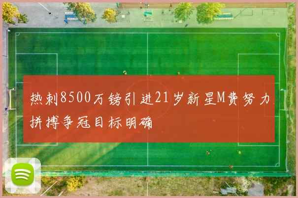 热刺8500万镑引进21岁新星M费努力拼搏争冠目标明确