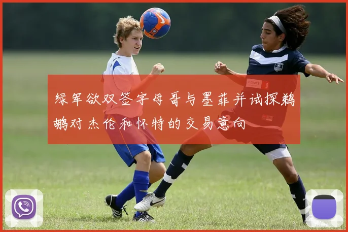 绿军欲双签字母哥与墨菲并试探鹈鹕对杰伦和怀特的交易意向