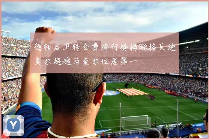 德转后卫转会费排行榜揭晓格瓦迪奥尔超越马奎尔位居第一